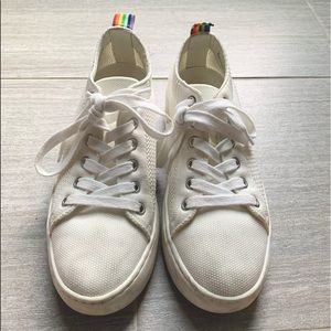 Steve madden sneakers